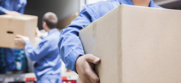 Removalist business for sale Brisbane